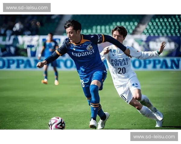 九州风暴对决绿意防线:长崎航海VS冈山绿雉,谁才是日职乙升级之路的真命天子? 九州风暴对决绿意防线:长崎航海VS冈山绿雉,谁才是日职乙升级之路的真命天子?